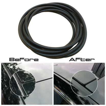 Tesla model3 windshield roof sunroof seal